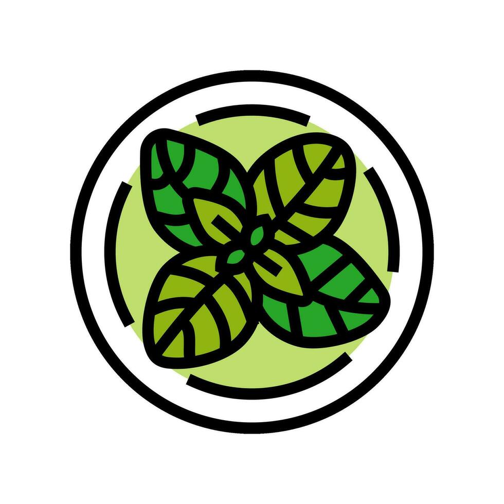 Basilikum kosmetisch Pflanze Farbe Symbol Vektor Illustration