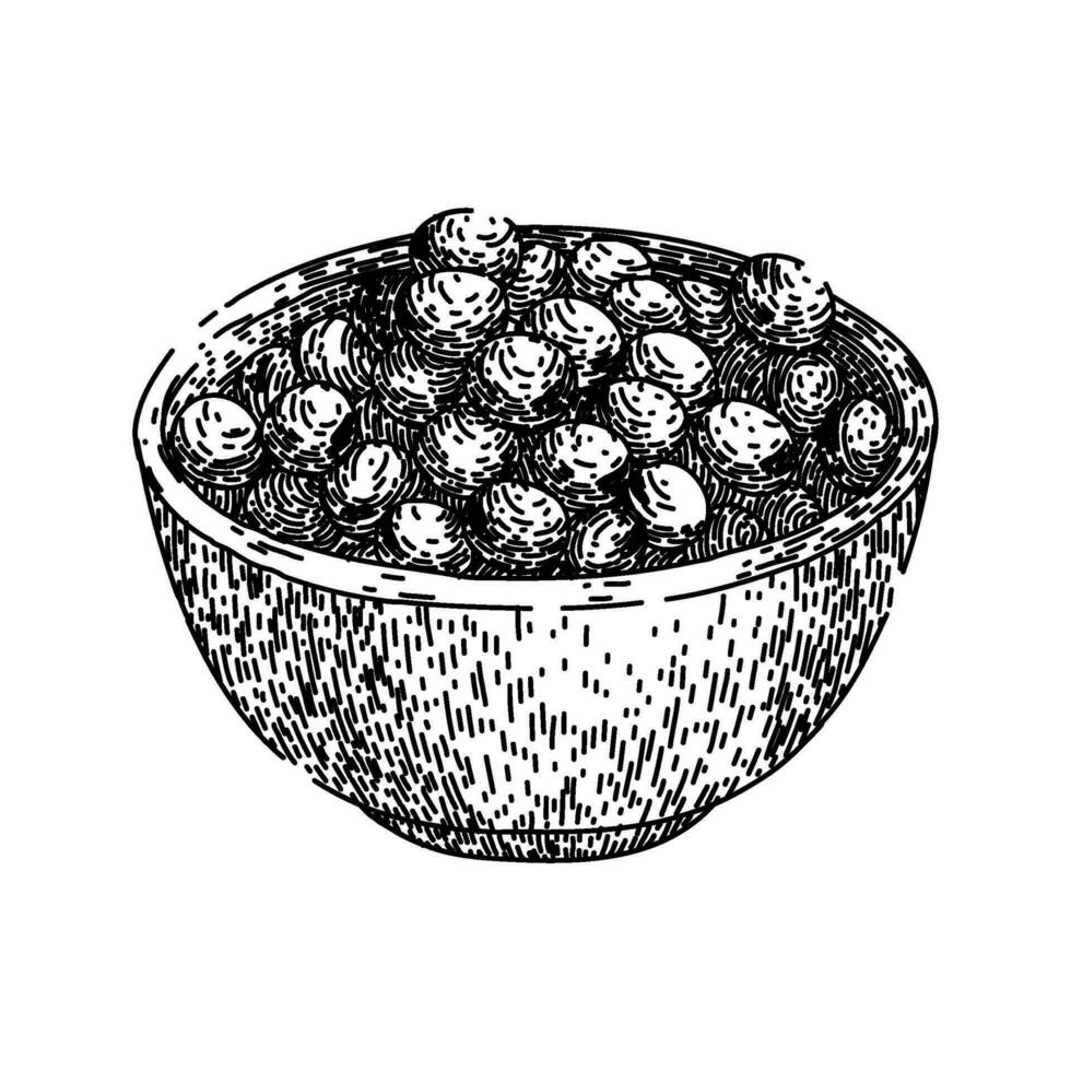 Soja Bohne Essen Schüssel skizzieren Hand gezeichnet Vektor