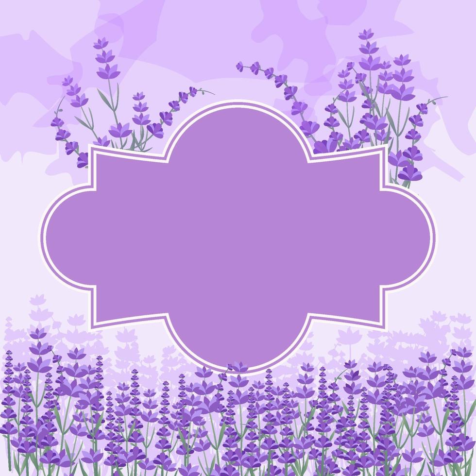 vacker lavendel trädgård inramad bakgrund vektor