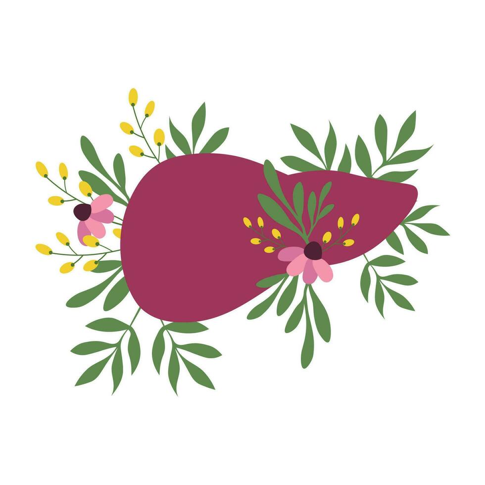 Leber Organ mit Blumen Hand gezeichnet eben Illustration auf isoliert Weiß Hintergrund zum Medizin, Gastroenterologe, ansteckend Krankheit Spezialist, zum Welt Hepatitis Tag, zum Welt gesund Leber Tag vektor