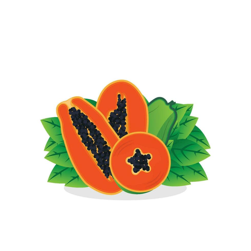 Papaya-Logo-Design, Vitamin-Frucht-Vektor, Symbol für Fruchtprodukt-Markenillustration vektor