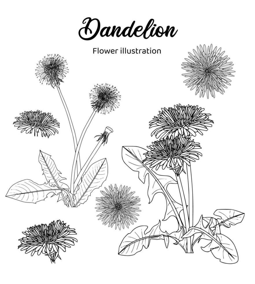 Blumen Färbung Buch Hand gezeichnet Illustration vektor