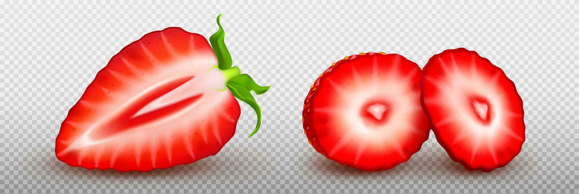 3d realistisk isolerat röd jordgubb frukt skiva vektor