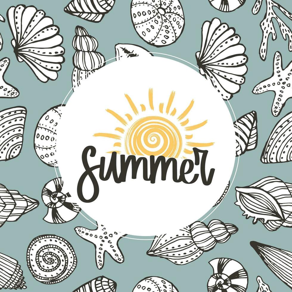 sommar illustration, hand dragen kontur snäckskal och text sommar. skriva ut, klämma konst, mall vektor