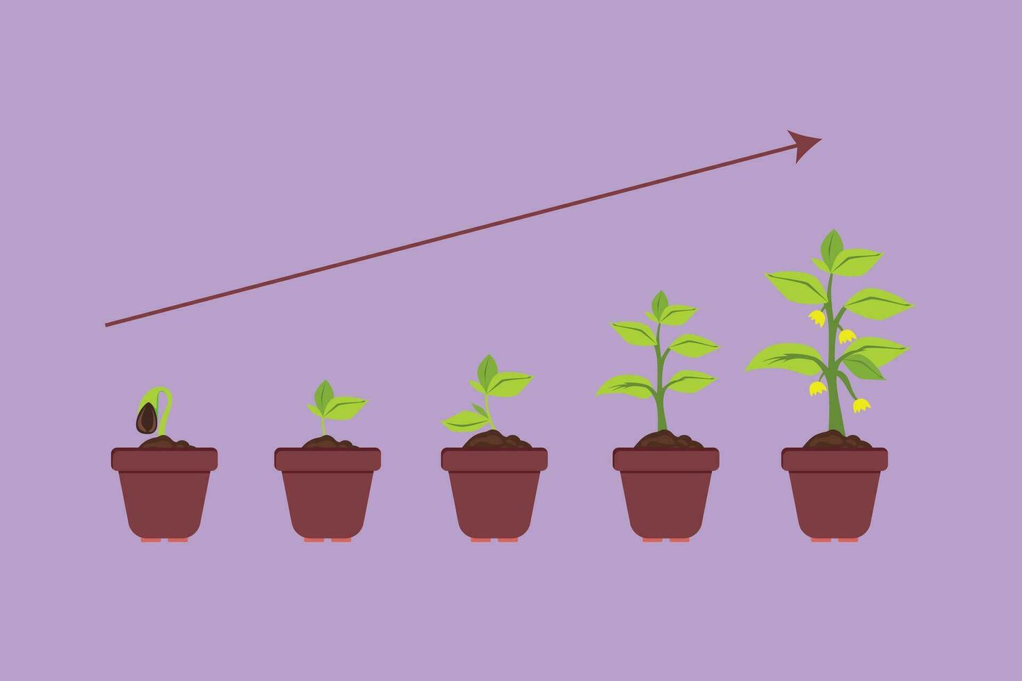 Grafik eben Design Zeichnung Infografik von Pflanzen Baum. Saat sprießen im Topf oder Boden. Sämling Gartenarbeit Pflanze. Sprossen, Pflanzen, Bäume wachsend Symbol, Logo, Symbol. Karikatur Stil Vektor Illustration