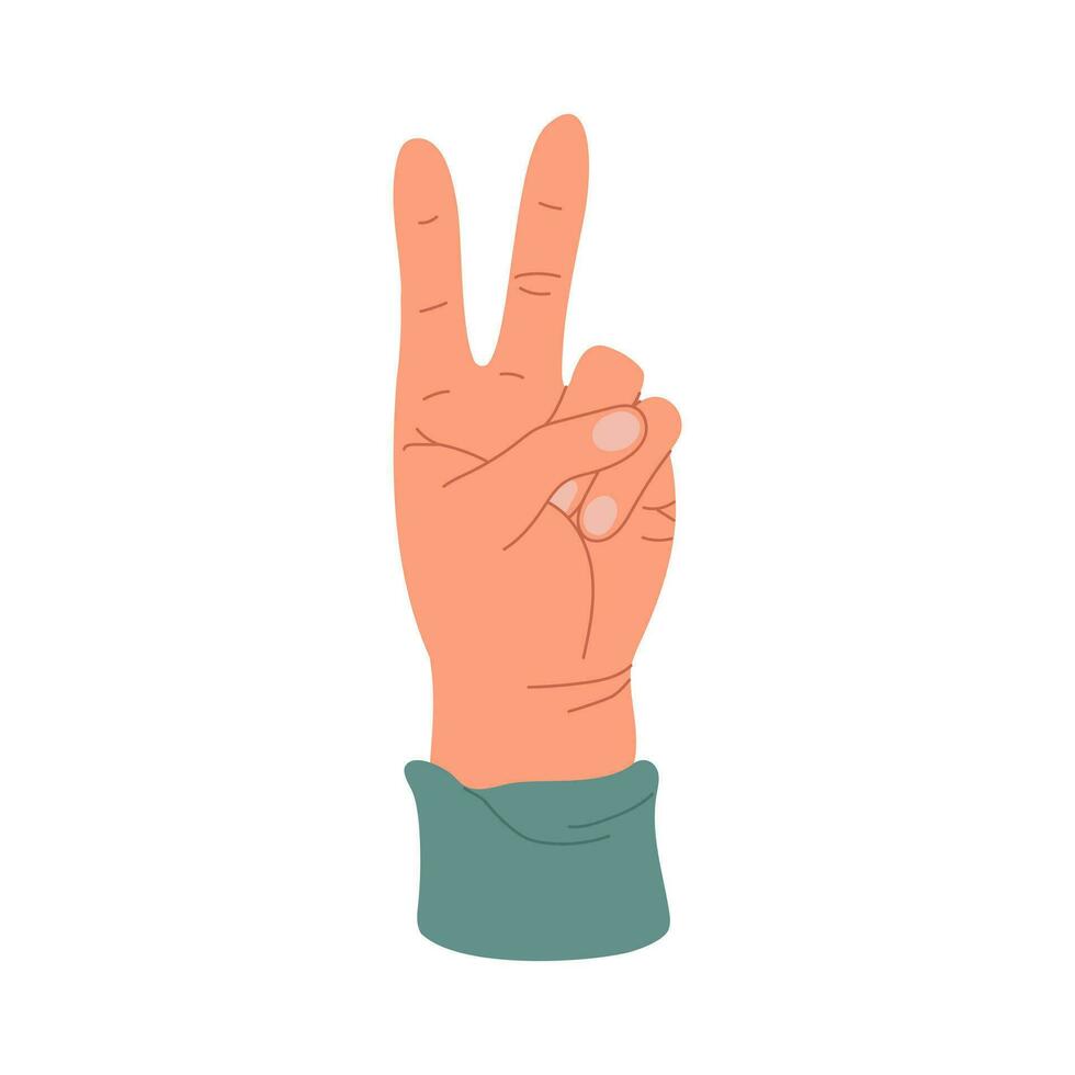 hand Uppfostrad upp. hand gest. fingrar av händer på vilket sätt seger symbol, brev v eller siffra två. mänsklig vapen med Tillbehör. färgad platt vektor illustration isolerat på vit bakgrund