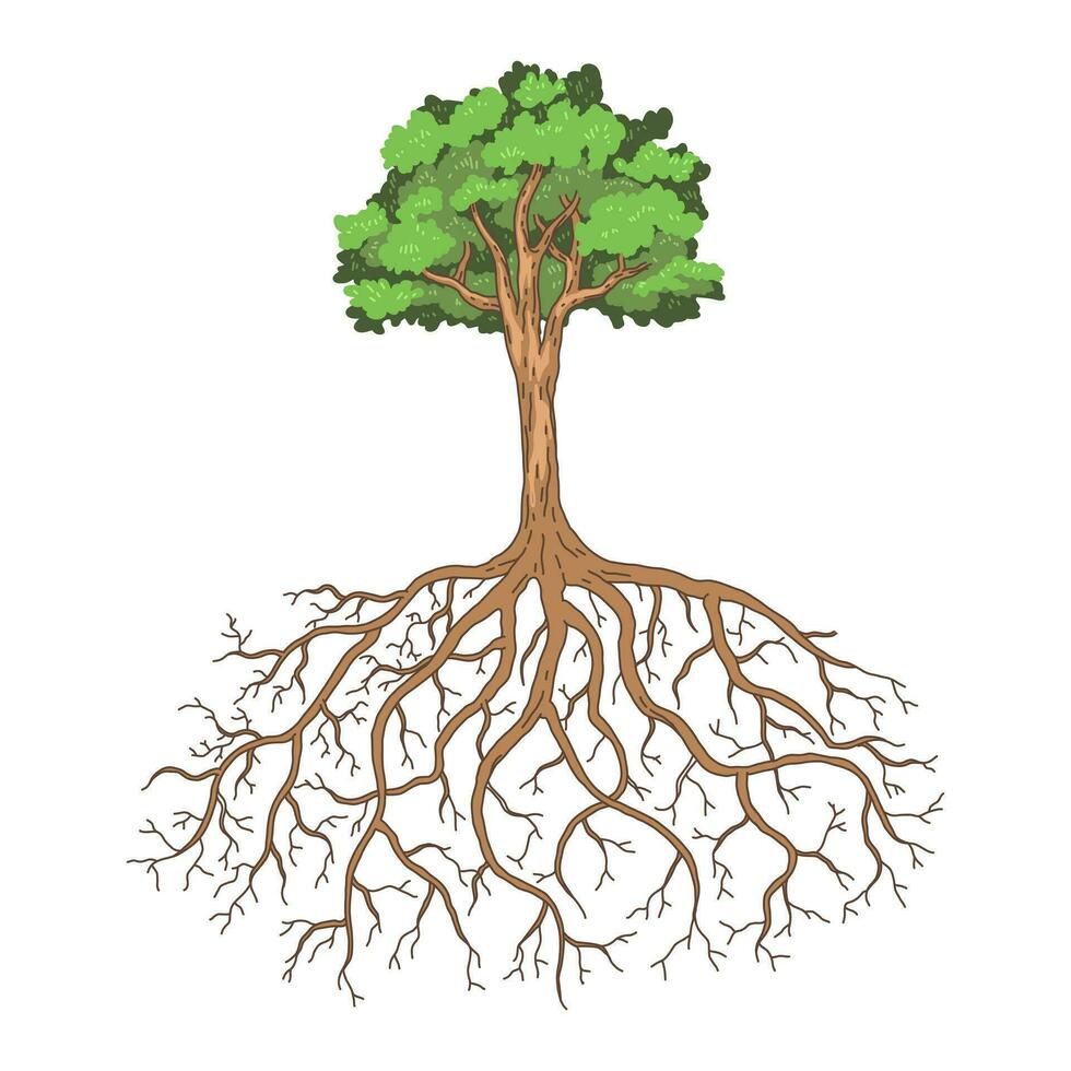 vektor abstrakt träd och rötter. vektor illustration.
