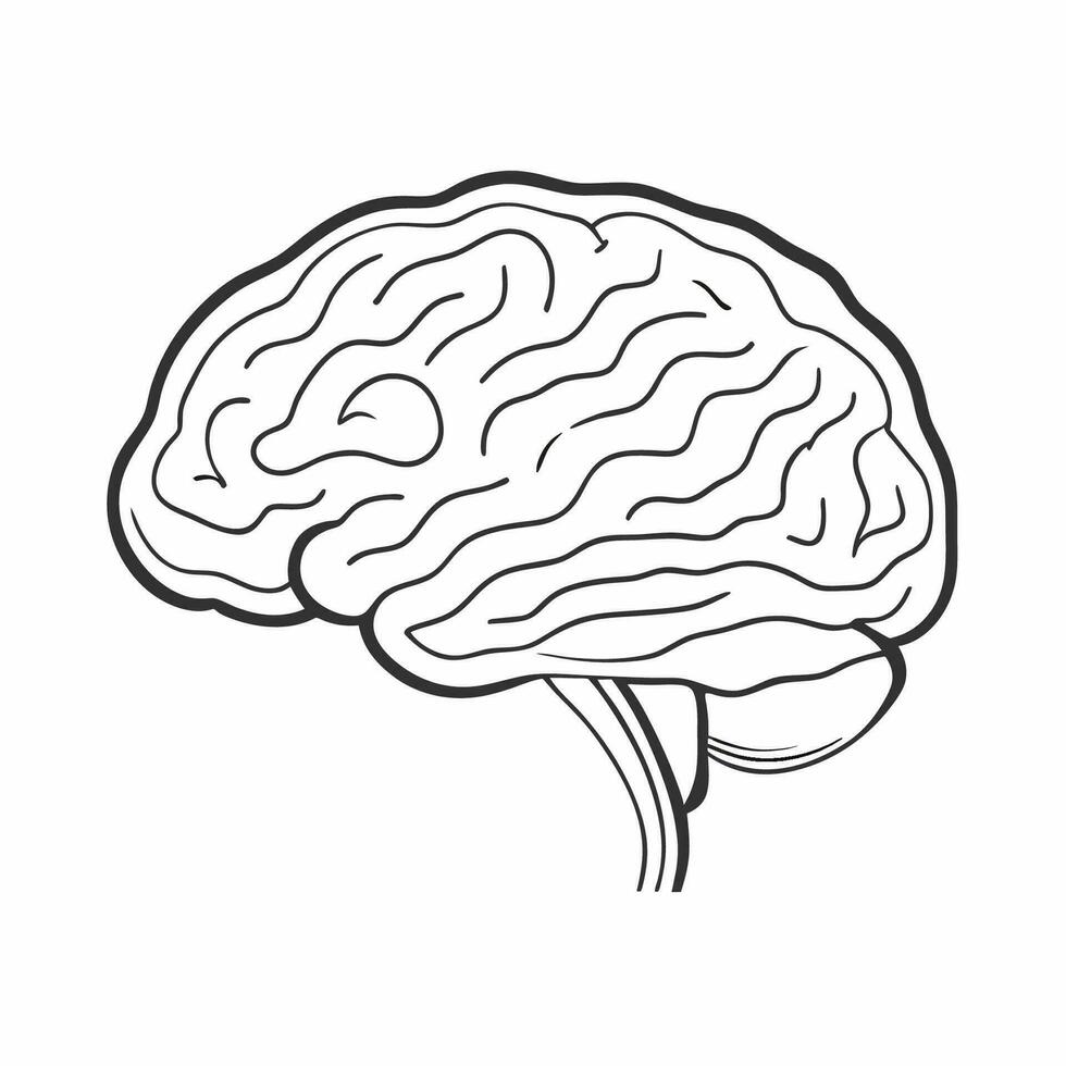 mänsklig hjärna skisse vektor illustration.