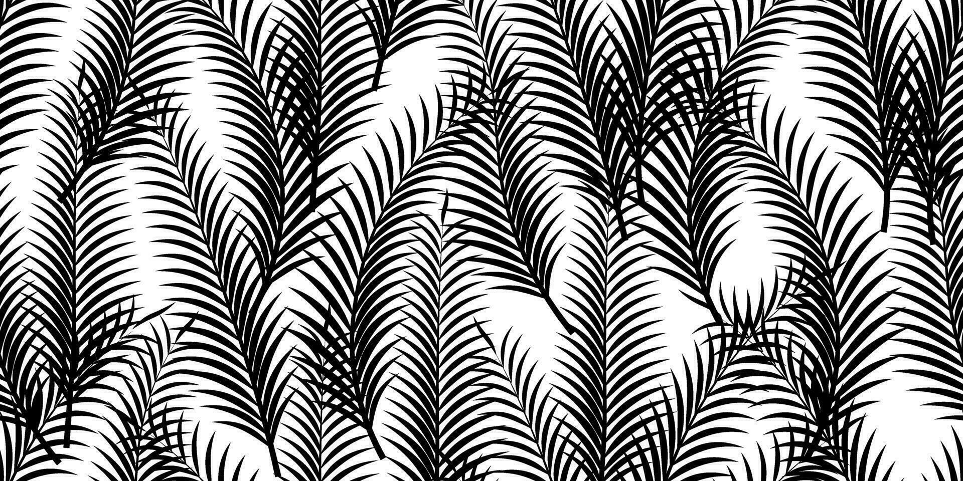 schwarz Weiß Palme Blätter nahtlos Muster vektor