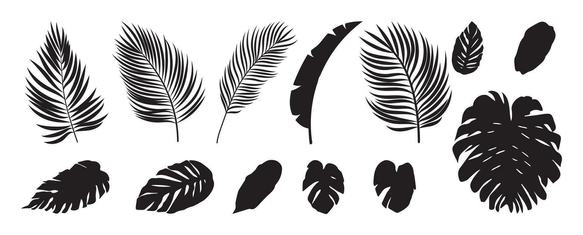 Sammlung von Silhouette Blatt Elemente. einstellen von tropisch Pflanzen, Blatt Zweig, Palme, Monstera Blätter, Laub, Banane Blatt. Hand gezeichnet von botanisch Vektoren zum Dekor, Webseite, Grafik, dekorativ.