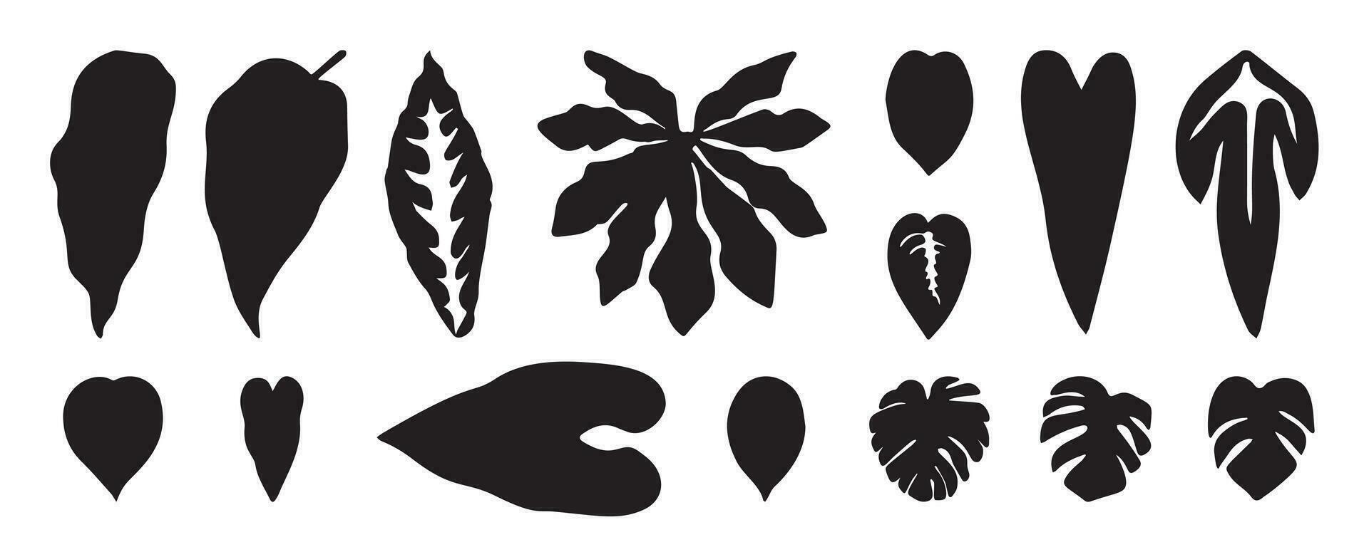 samling av silhuett blad element. uppsättning av tropisk växter, blad gren, handflatan, monstera löv, lövverk. hand dragen av botanisk vektorer för dekor, hemsida, grafisk, dekorativ.