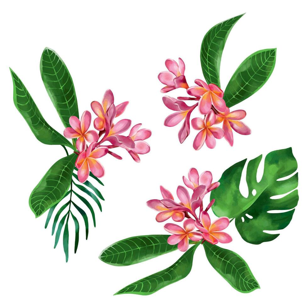 Rosa Plumeria mit Grün Blätter. Vektor Illustration von ein tropisch Pflanze im ein Aquarell Stil auf ein Weiß Hintergrund. Design Element zum Sommer- Banner, Gruß Karten, Pakete im tropisch Stil.