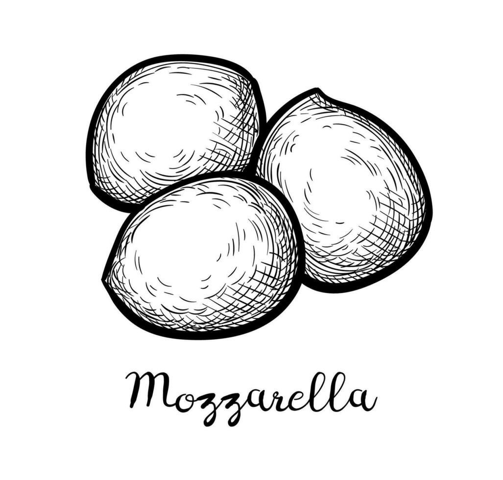 Mozzarella Käse. Tinte skizzieren isoliert auf Weiß Hintergrund. Hand gezeichnet Vektor Illustration. Jahrgang Stil Schlaganfall Zeichnung.