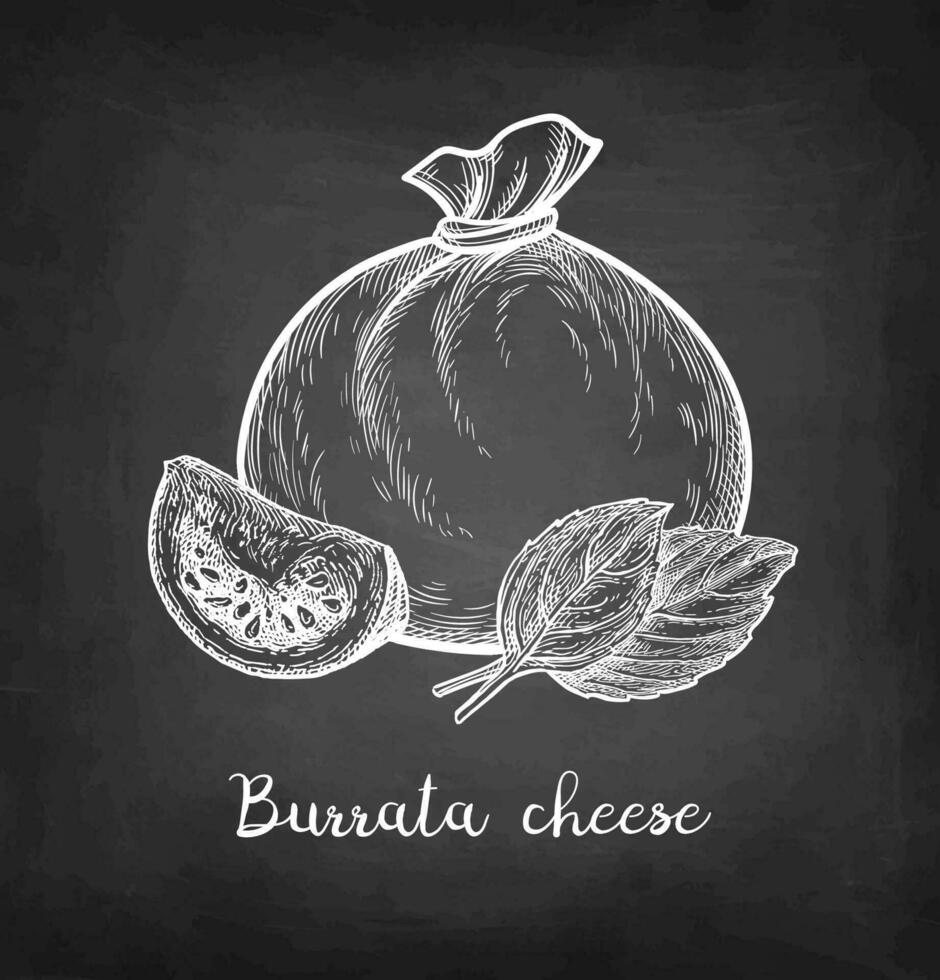 burrata ost med körsbär tomater och basilika. krita skiss på svarta tavlan bakgrund. hand dragen vektor illustration. årgång stil stroke teckning.
