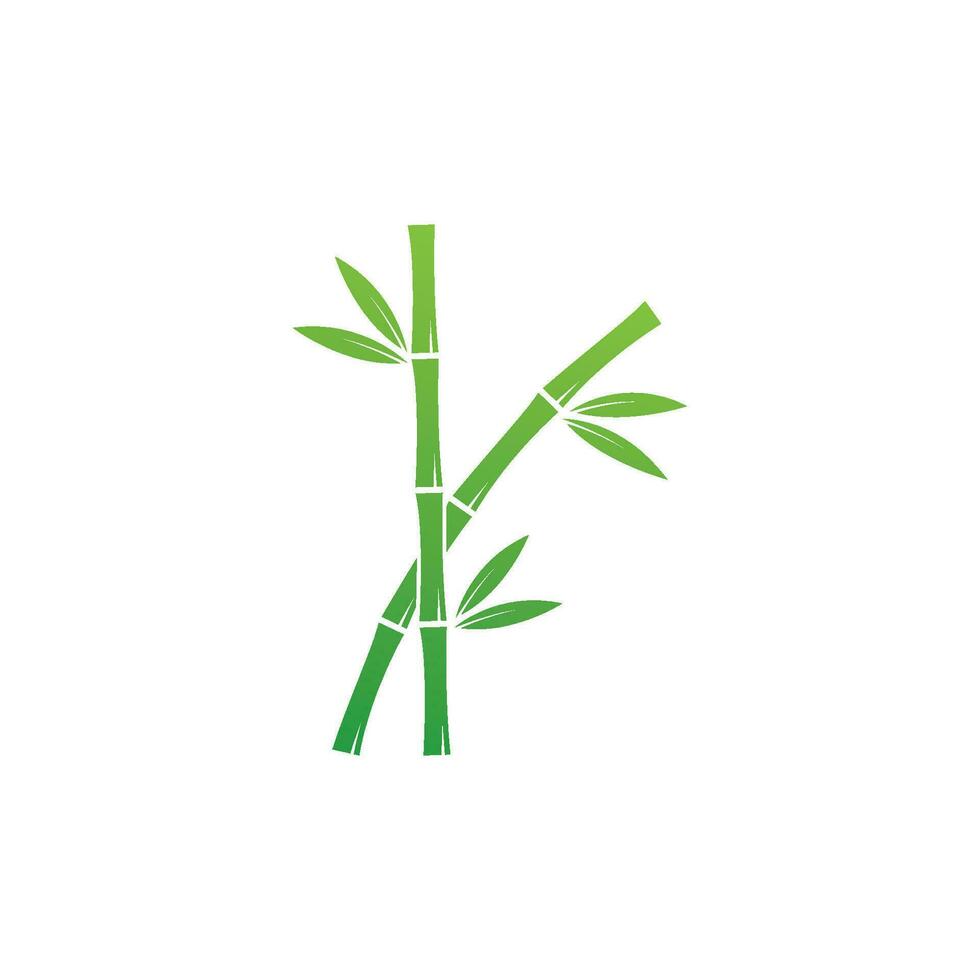 Bambus mit Grün Blatt Vektor Symbol