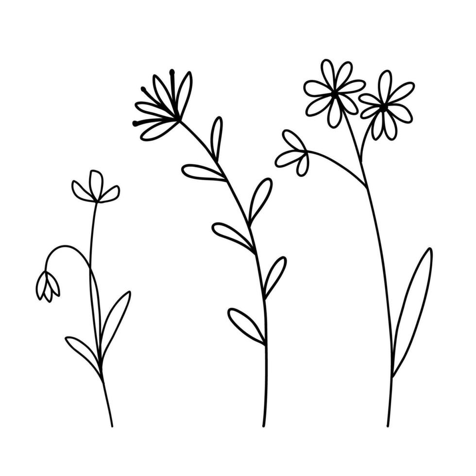 Hand gezeichnet Wildblumen Satz. Vektor Gliederung Blume skizzieren. Linie Kunst Gekritzel isoliert auf Weiß Hintergrund