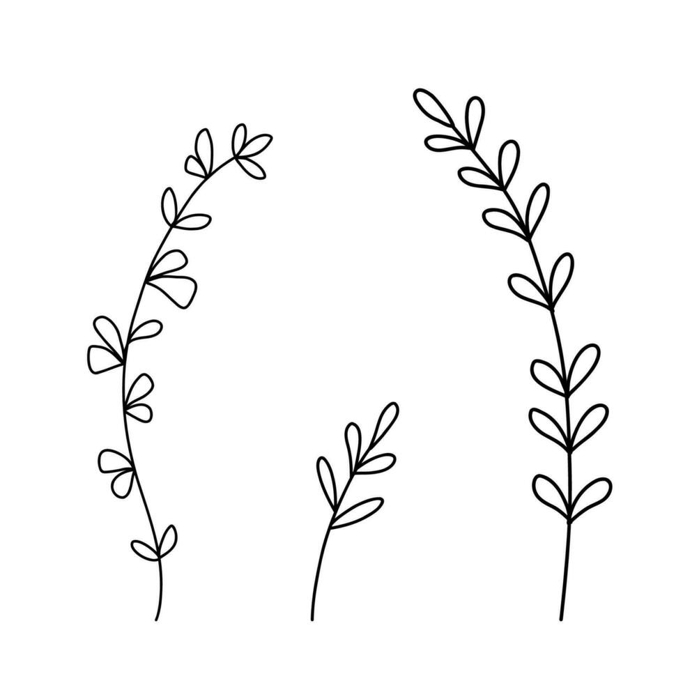 Hand gezeichnet Wildblumen Satz. Vektor Gliederung Blume skizzieren. Linie Kunst Gekritzel isoliert auf Weiß Hintergrund