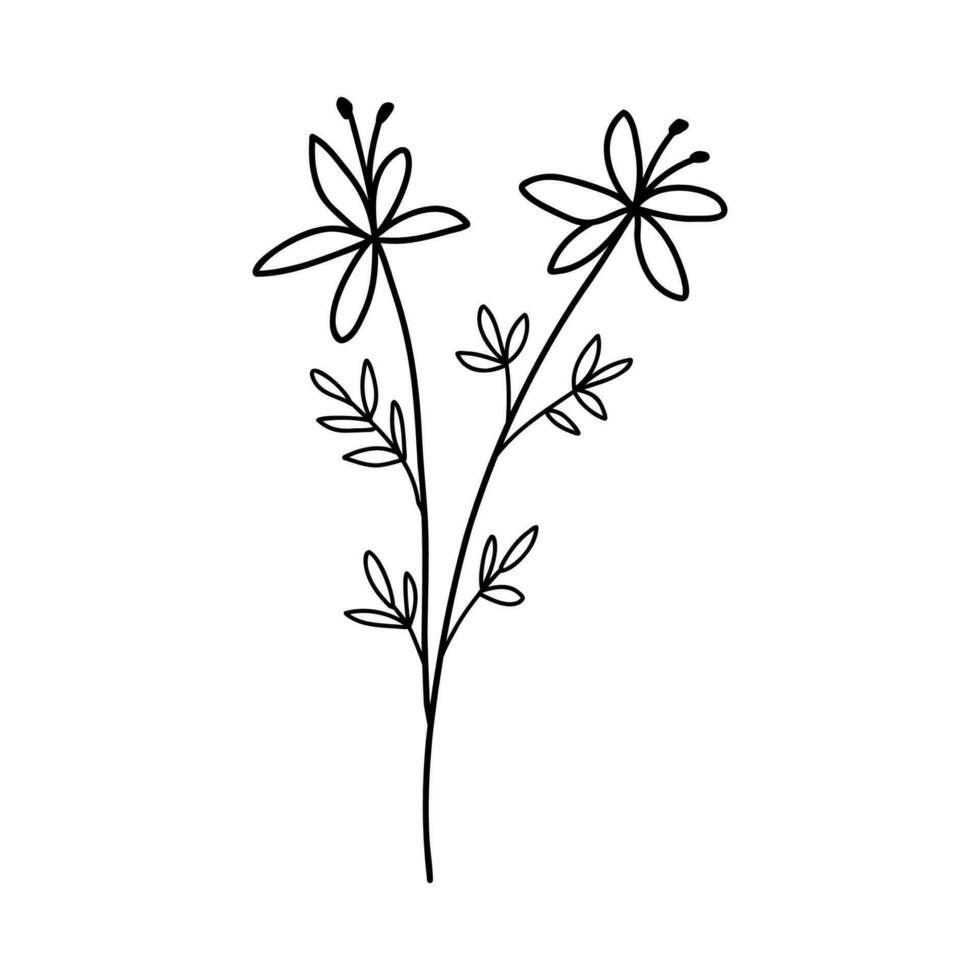 Hand gezeichnet Wildblume. Vektor Gliederung Blume skizzieren. Linie Kunst Gekritzel isoliert auf Weiß Hintergrund