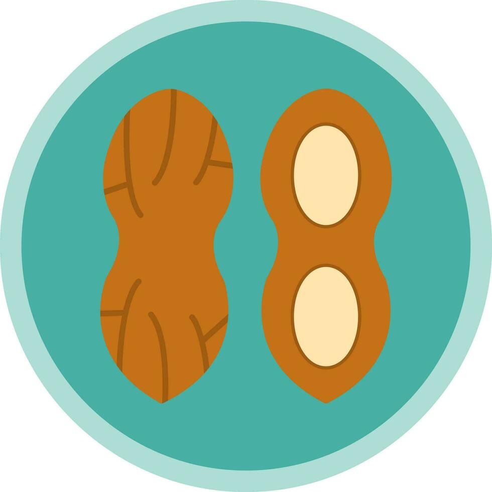 jordnötter vektor ikon design