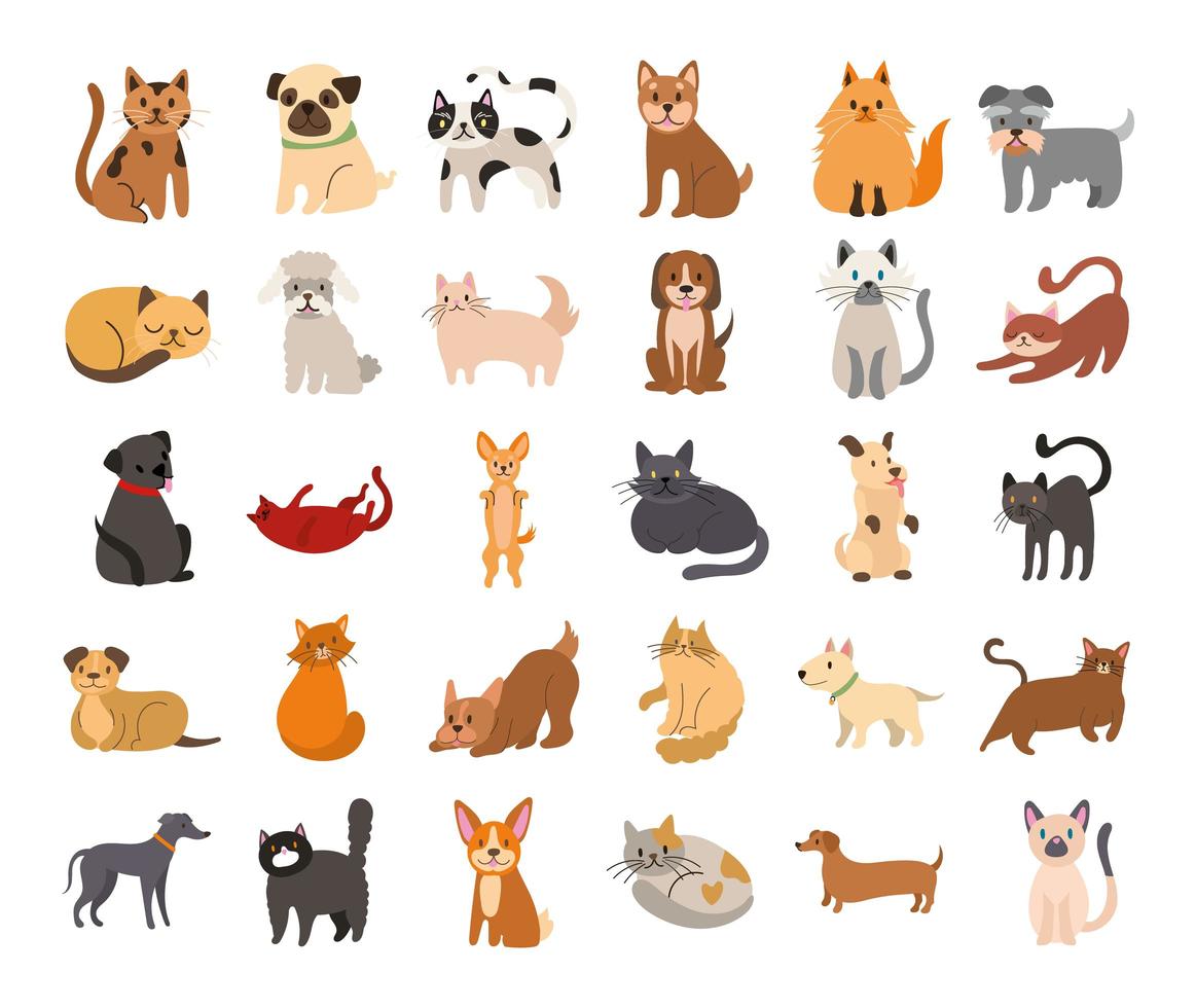 Bündel von Katzen und Hunden stellen Icons ein vektor