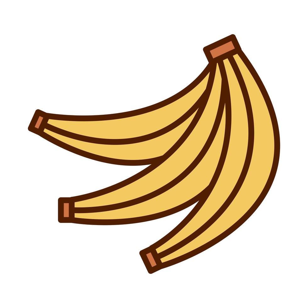 hälsosam mat färsk frukt tropiska bananer produktlinje och fyll stilikon vektor