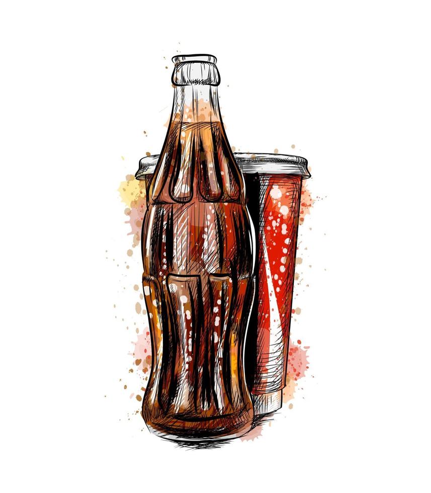 Glas-Soda-Flasche und Glas aus einem Spritzer Aquarell handgezeichnete Skizze Vektorgrafik von Farben vektor
