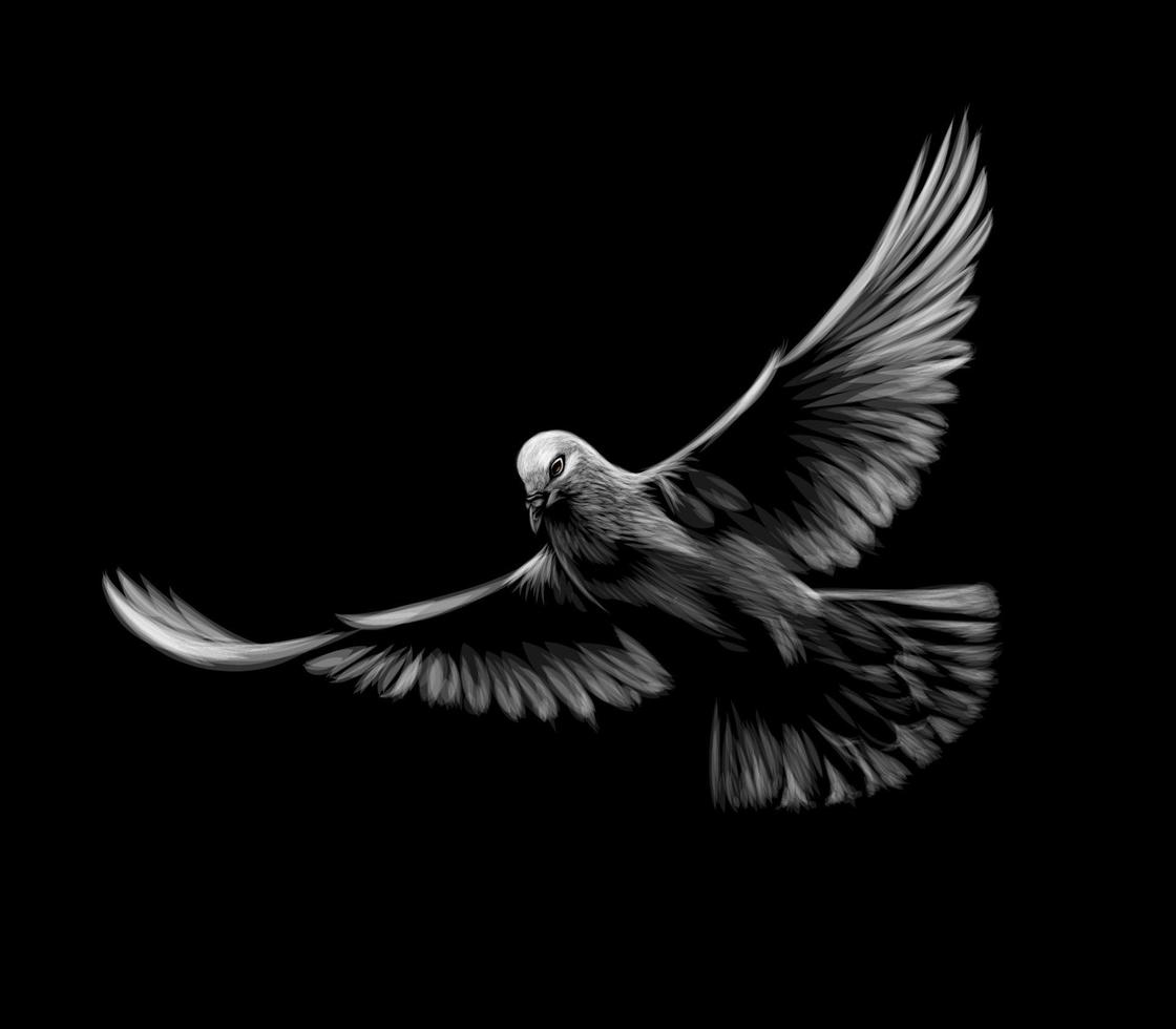 fliegende weiße Taube auf einer schwarzen Hintergrundvektorillustration vektor