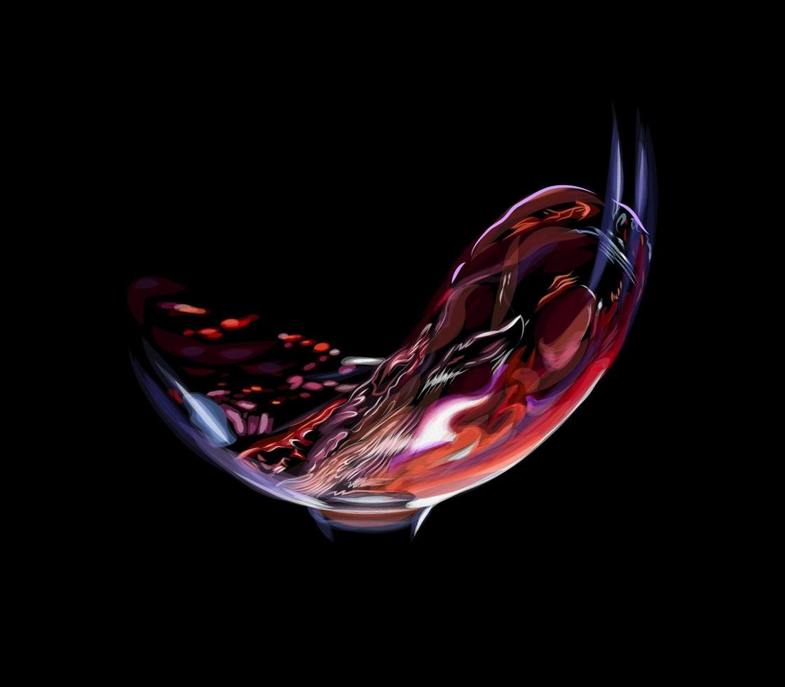 Spritzer Rotwein in einem Glas isoliert auf einer schwarzen Hintergrundvektorillustration vektor