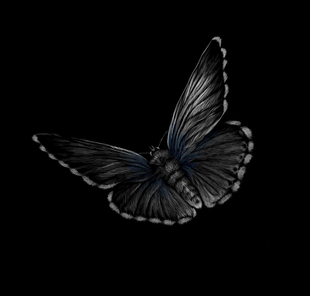 Schmetterling auf einer schwarzen Hintergrundvektorillustration vektor