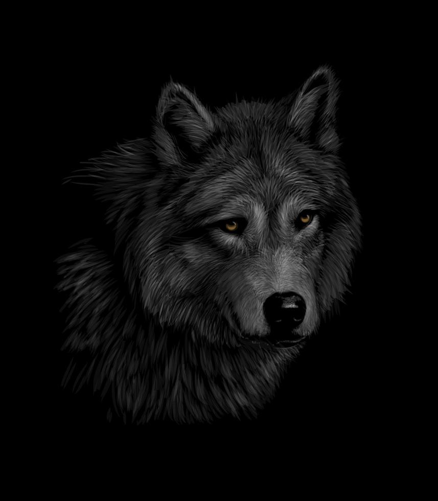 Porträt eines Wolfskopfes auf einer schwarzen Hintergrundvektorillustration vektor