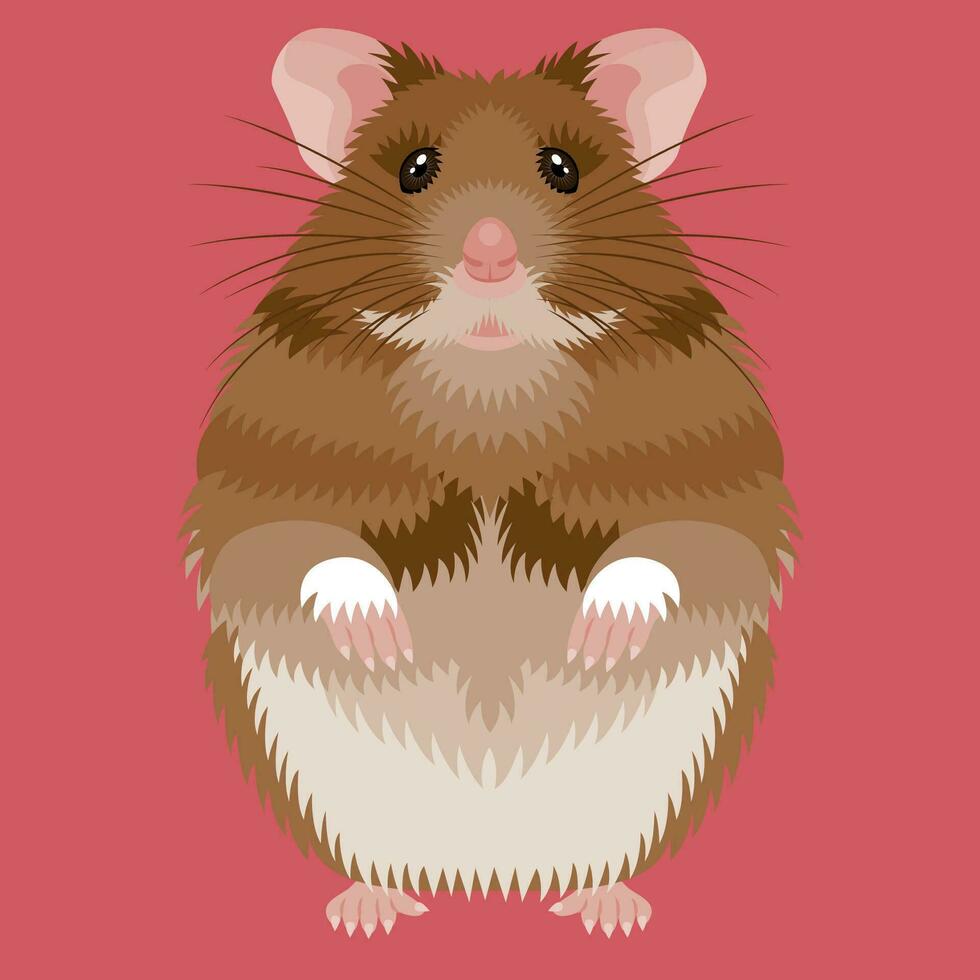 Hamster eben Illustration vektor