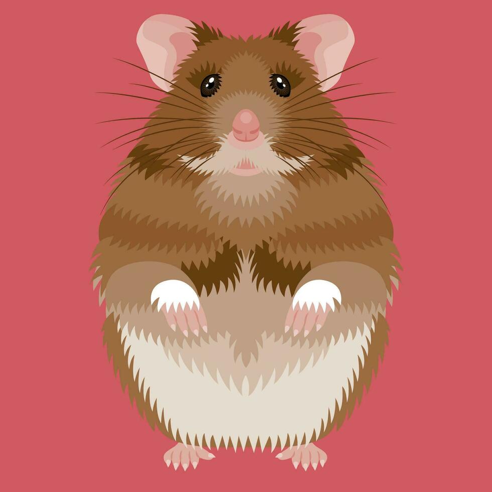 hamster platt illustration vektor