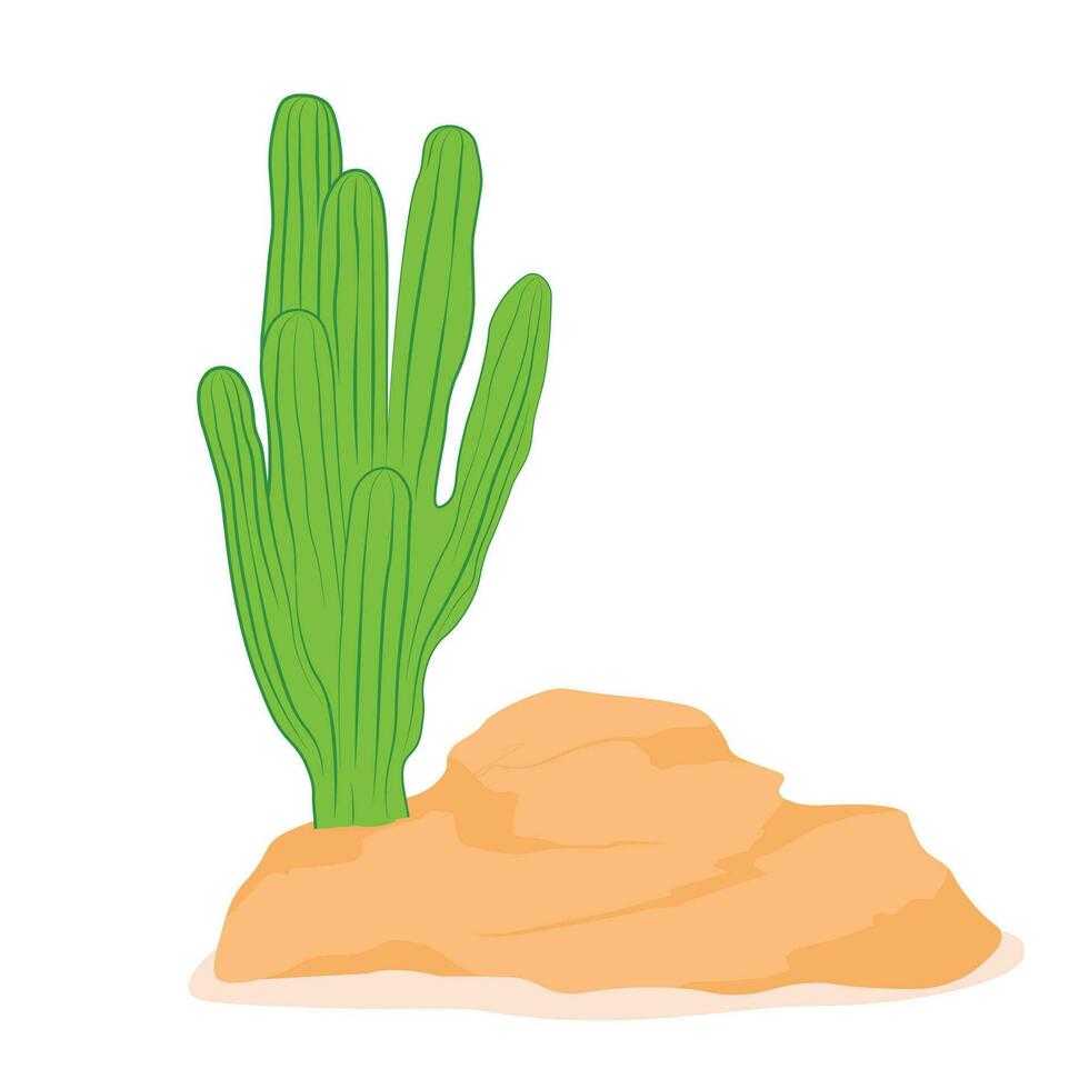 mexikansk kaktus och aloe. vektor stock illustration. isolerat på en vit bakgrund. en öken- växt på en sten.