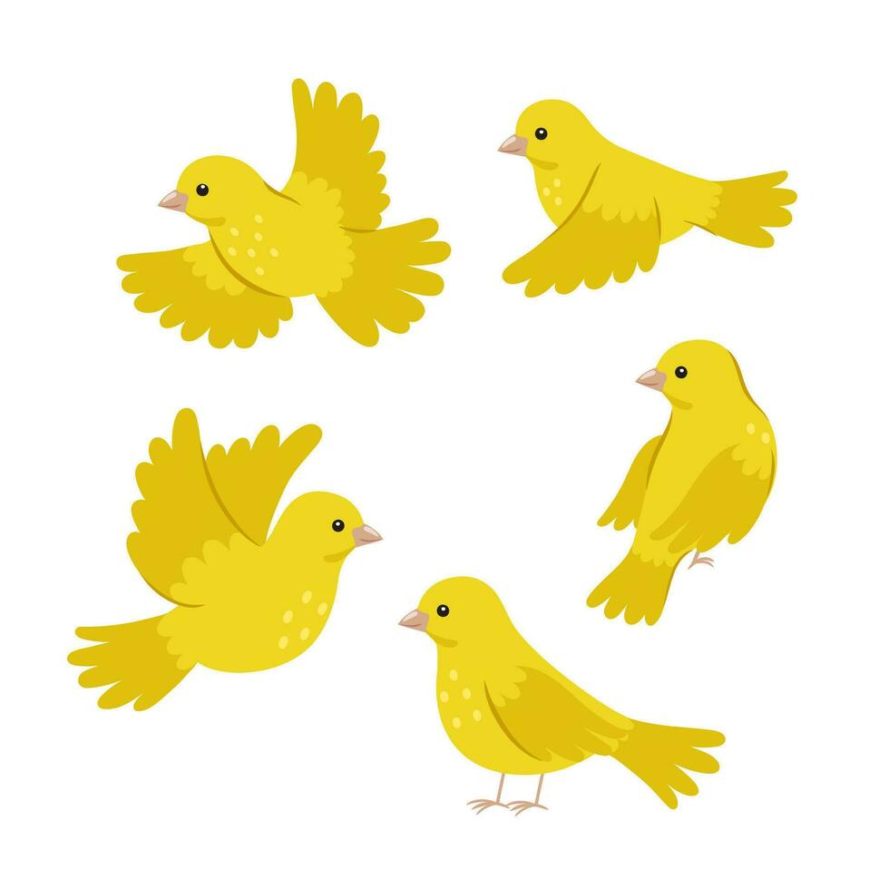 einstellen von süß Gelb Kanarienvögel isoliert auf Weiß Hintergrund. Vektor Grafik.