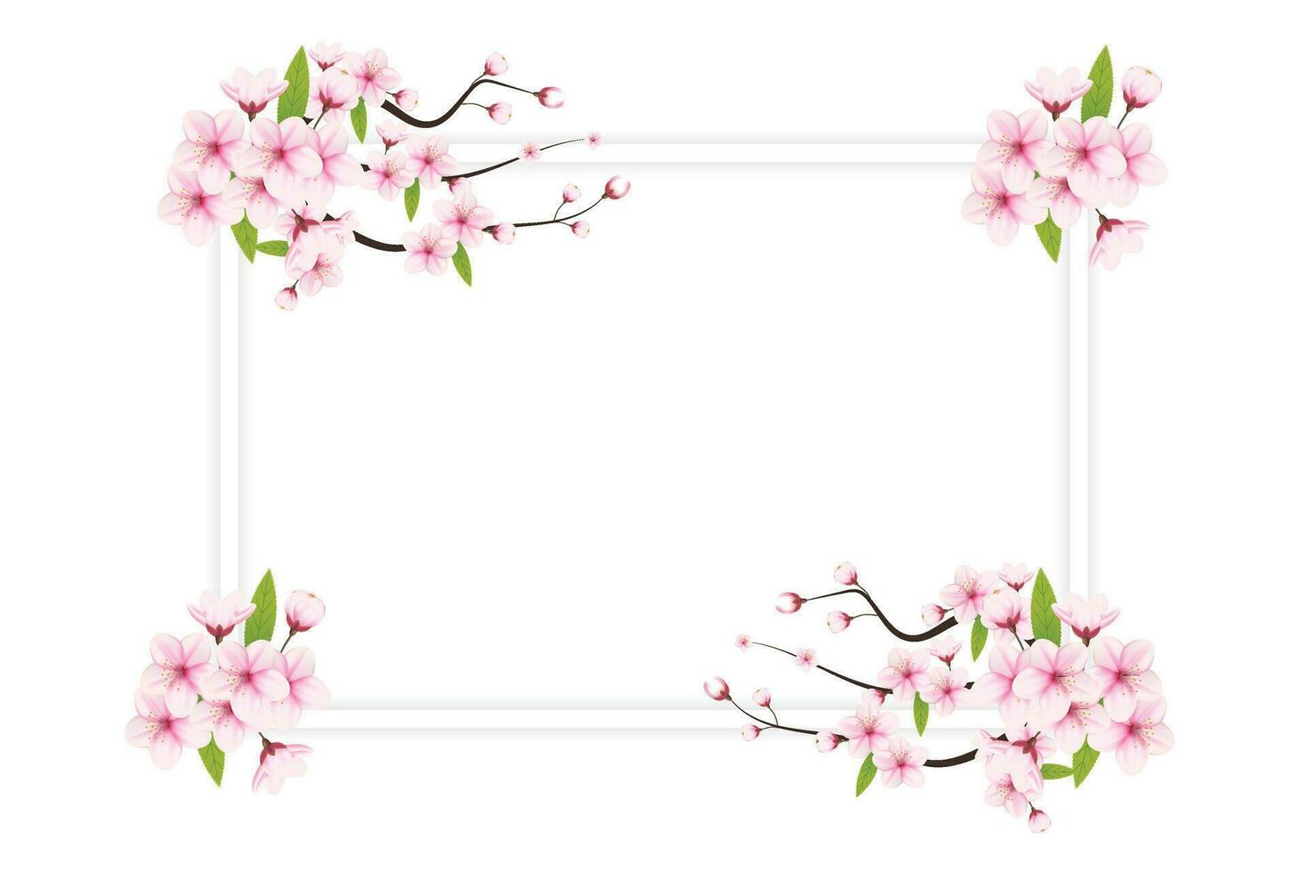 körsbär blomma ram med Plats för text. vektor illustration. körsbär blomma vektor. rosa sakura blomma bakgrund. körsbär blomma blomma blomning vektor