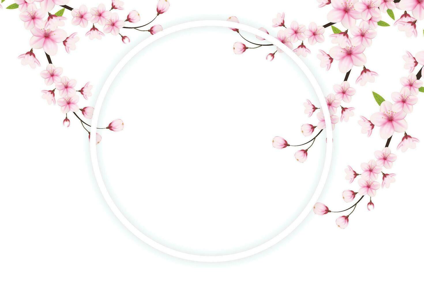 Kirsche blühen Rahmen mit Raum zum Text. Vektor Illustration. Kirsche blühen Vektor. Rosa Sakura Blume Hintergrund. Kirsche blühen Blume Blühen Vektor