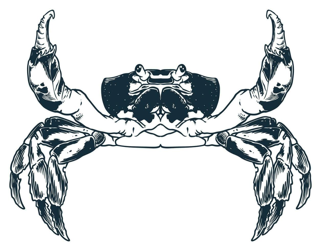 Meeresfrüchte Tier Krabbe Gravur Zeichnung Vektor Hand skizzieren Jahrgang Stil