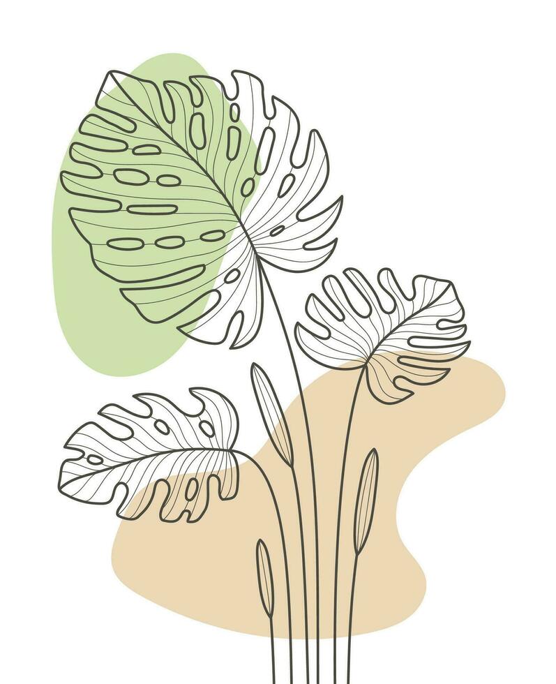 Hand gezeichnet eben Design einfach Blume und tropisch Monstera Pflanze Gliederung vektor