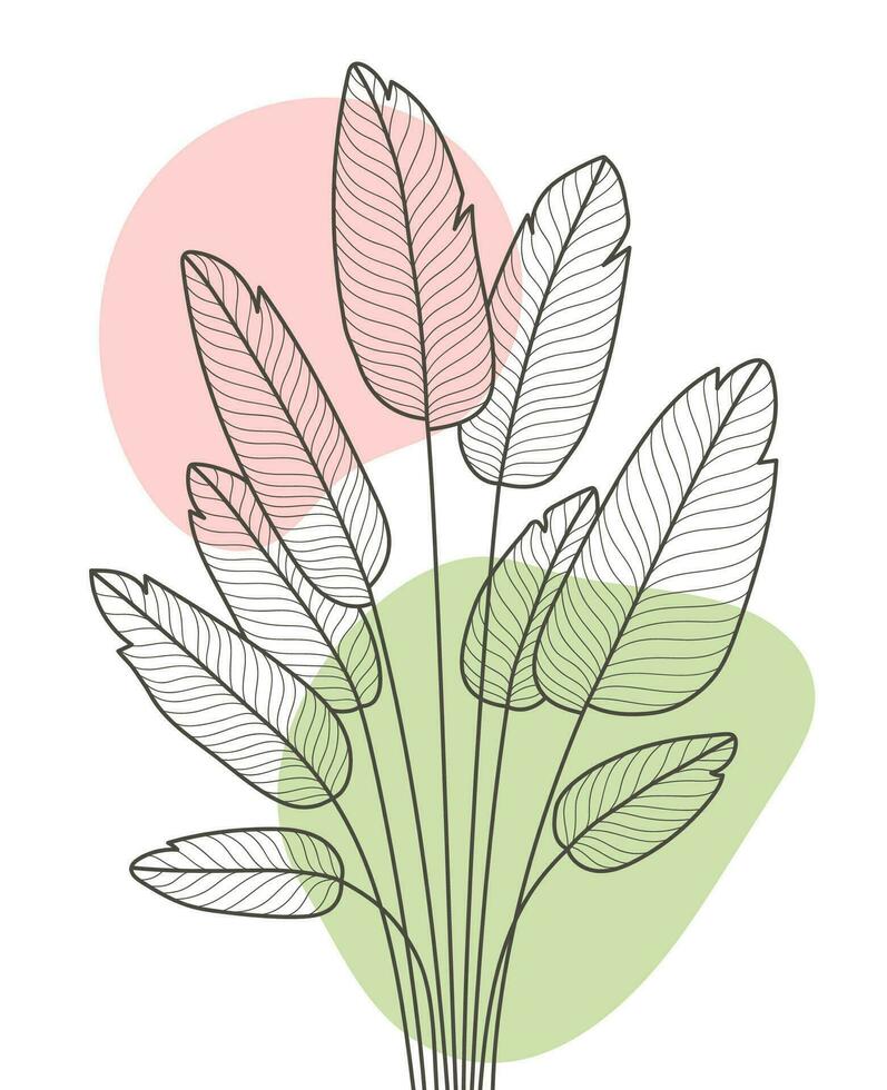 Hand gezeichnet eben Design einfach Blume und tropisch Pflanze Gliederung vektor