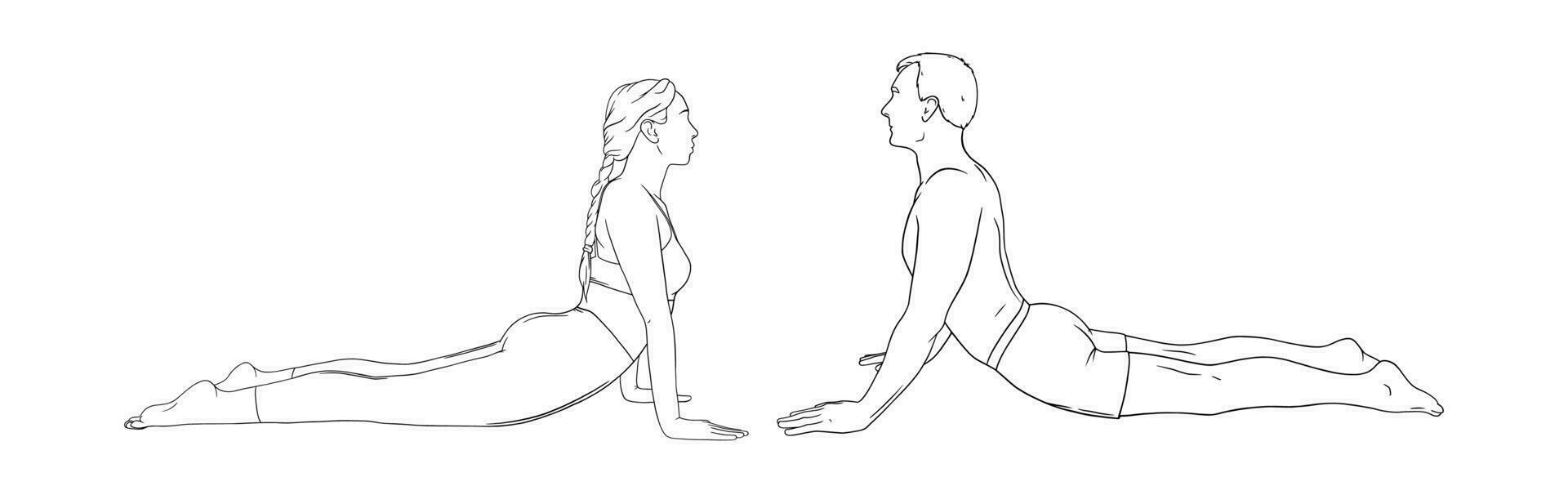 yoga kobra utgör eller bhujangasana. kvinna och man praktiserande stärka yoga utgör. hand dragen vektor illustration