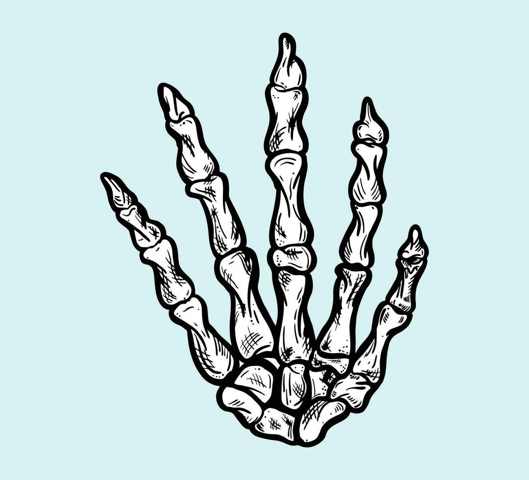 hand skelett vektor