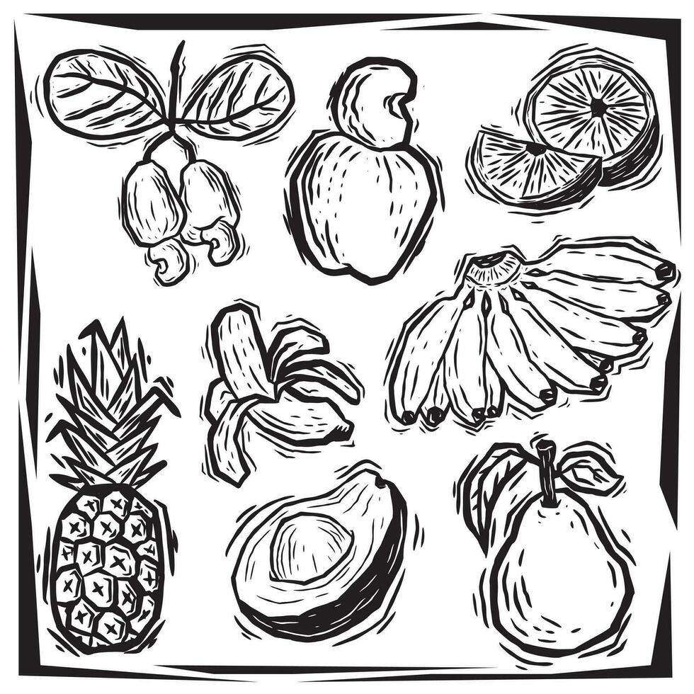 Schnur Stil Früchte, vektorisiert, Cashew, orange, Ananas, Banane, Avocado, Guave, Illustration Clip Art vektor