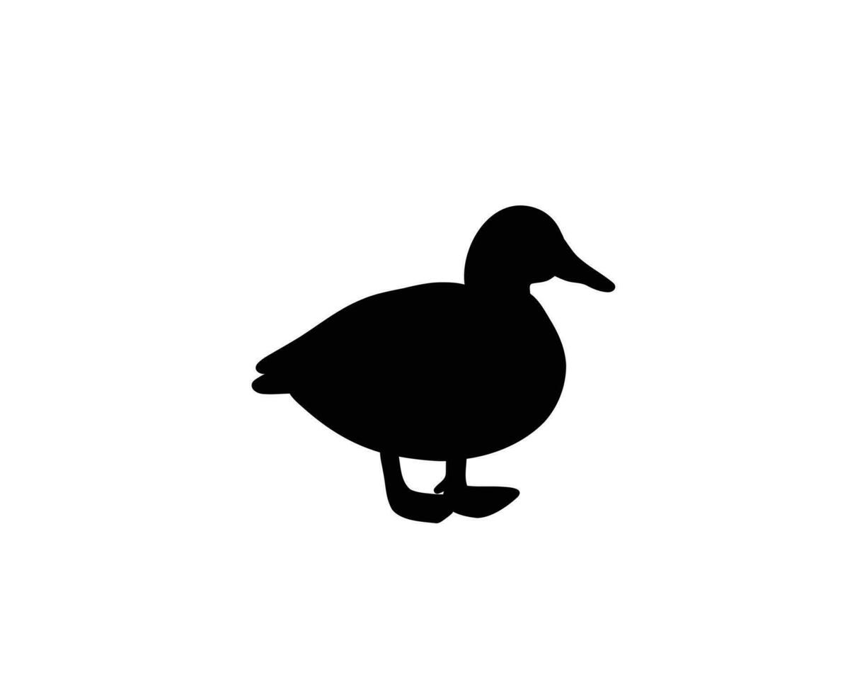 silhuett Anka. vektor illustration handla om inhemsk bruka fåglar. vilda djur och växter logotyp. djur- för ikon