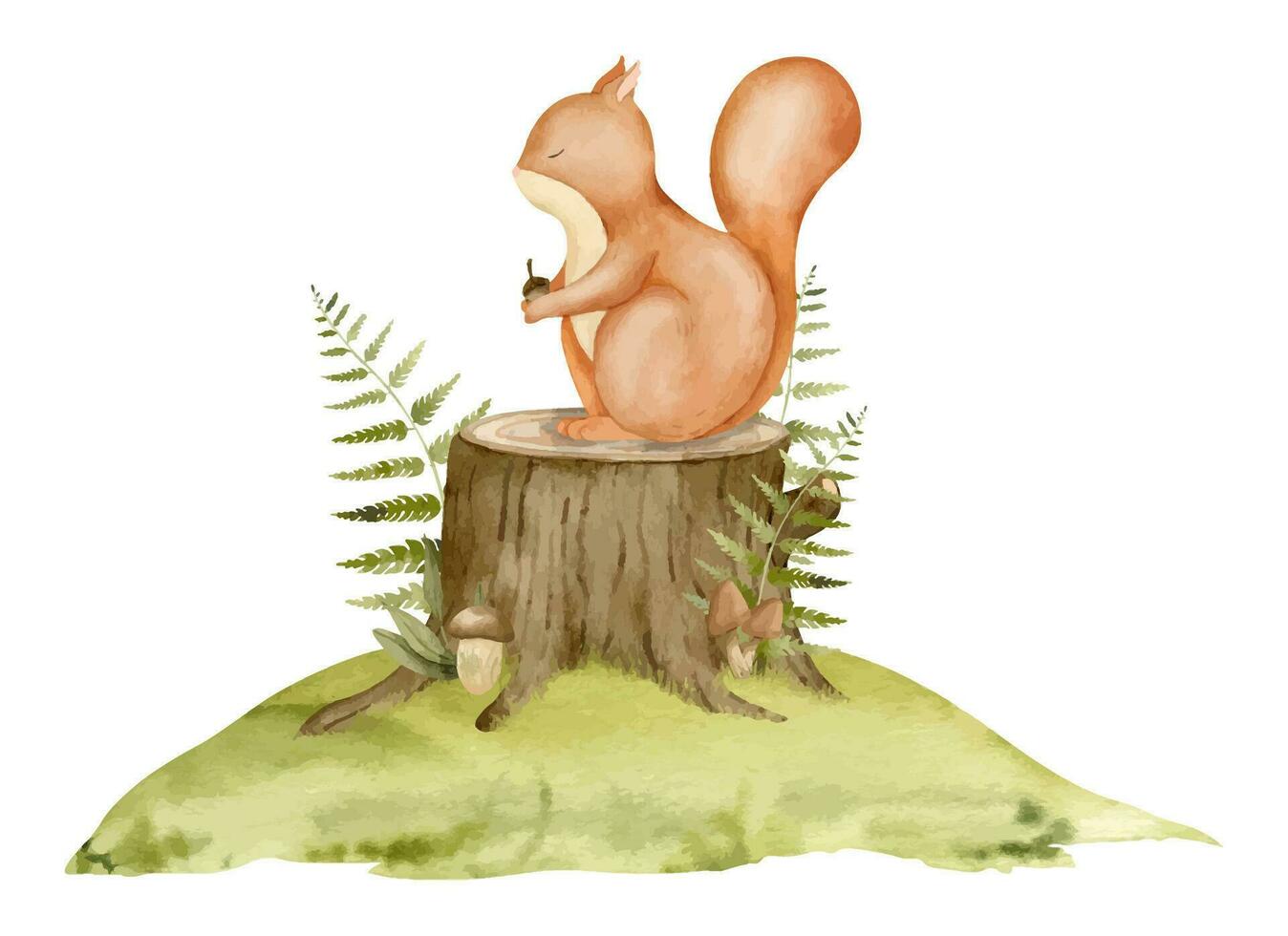 rot Eichhörnchen Sitzung auf ein Stumpf mit Wald Farn. Hand gezeichnet Aquarell Illustration von Wald süß flauschige Tier auf Weiß isoliert Hintergrund. Zeichnung zum Baby Dusche Gruß Karten oder Kind drucken vektor