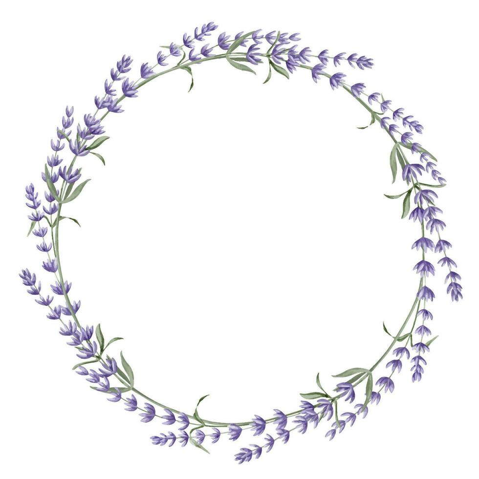 lavendel- krans. hand dragen vattenfärg blommig cirkel ram på vit isolerat bakgrund. illustration av lavandula gräns. mall för hälsning kort eller bröllop inbjudningar med provence örter vektor