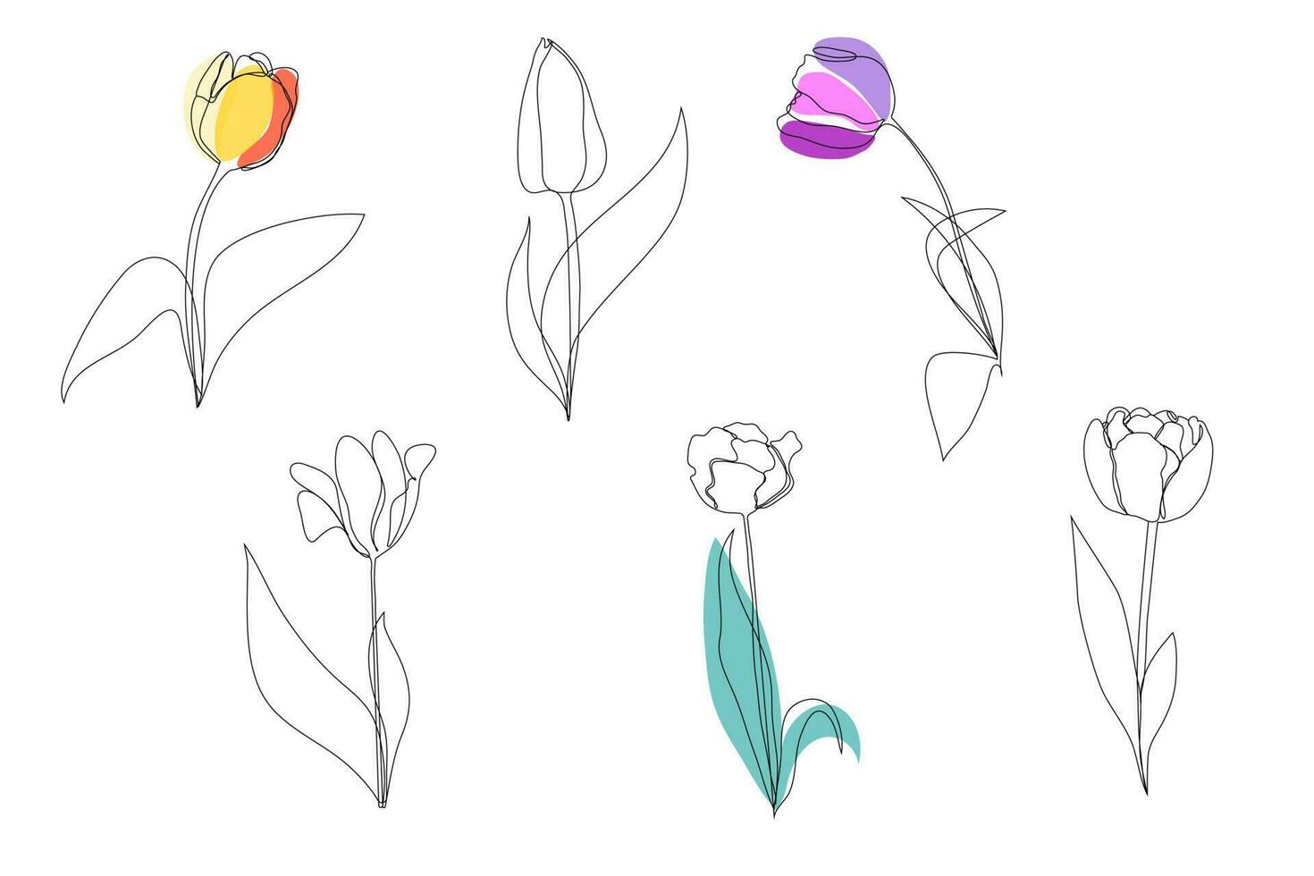 einstellen schön blühen Tulpe Blume im kontinuierlich Linie Kunst Zeichnung Stil. minimalistisch schwarz linear skizzieren isoliert auf Weiß Hintergrund. Vektor Illustration.