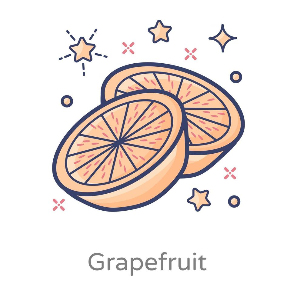 grapefrukt citrusfrukter vektor