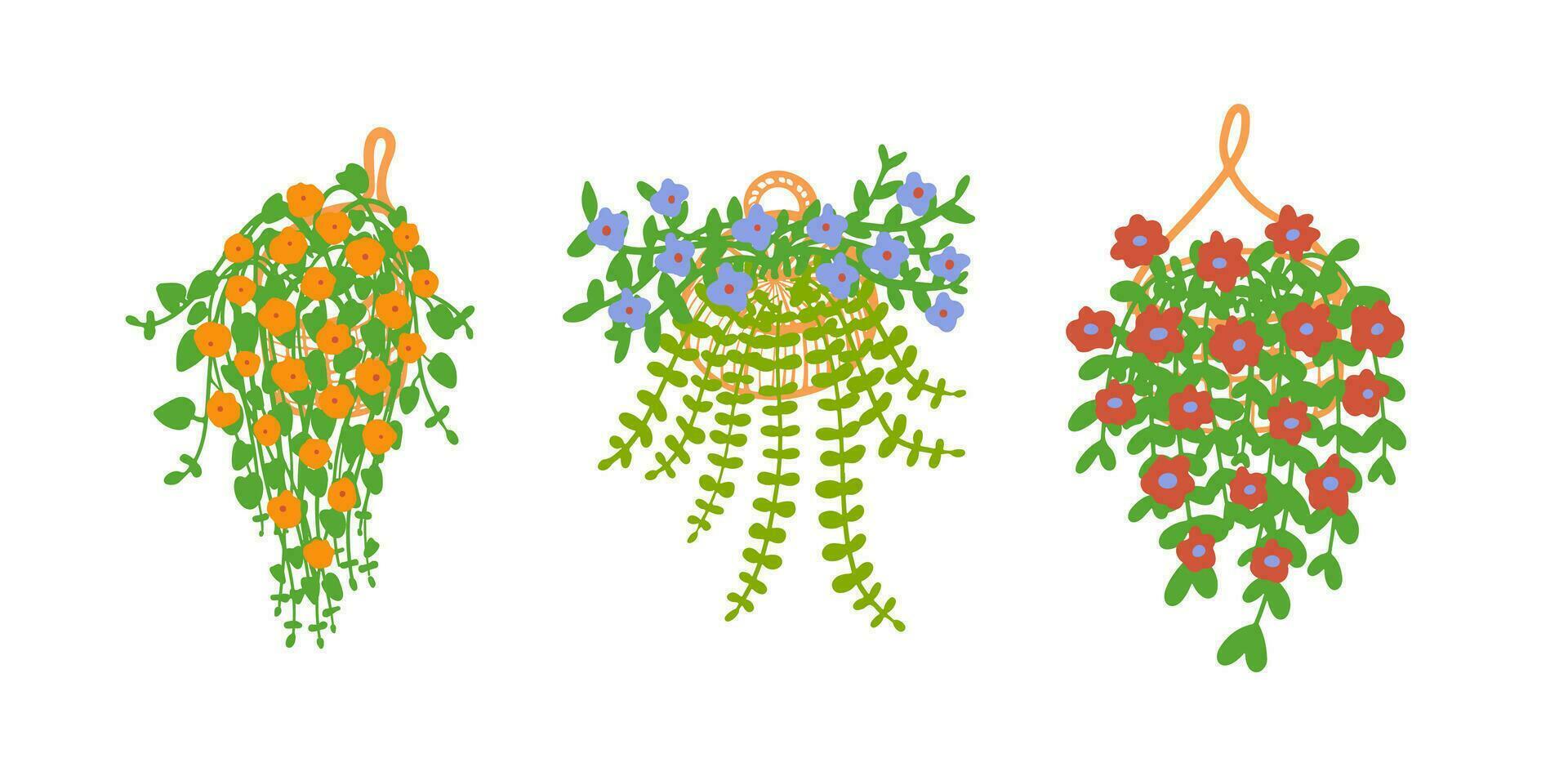hängande korg med blommor. vektor illustration. efterföljande växter för en sommar trädgård.