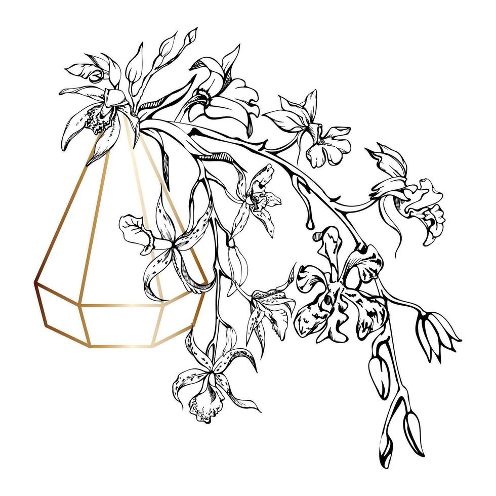 hand dragen vektor bläck orkide blommor och grenar, svartvit, detaljerad översikt. sammansättning med kristall form. isolerat på vit bakgrund. design för vägg konst, bröllop, skriva ut, tatuering, omslag, kort.