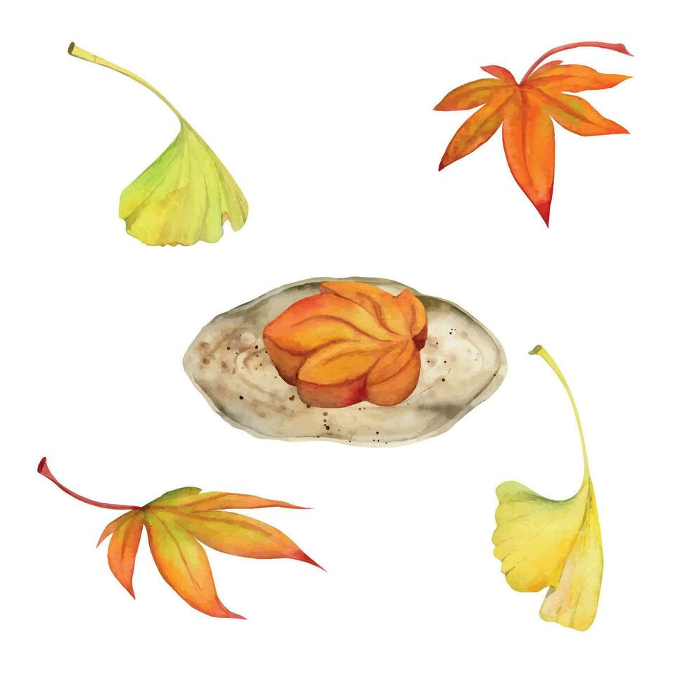 Aquarell Hand gezeichnet traditionell japanisch Süßigkeiten. Herbst wagashi, mochi, daifuku, Momiji Blätter. isoliert auf Weiß Hintergrund. Design zum Einladungen, Restaurant Speisekarte, Gruß Karten, drucken, Textil- vektor